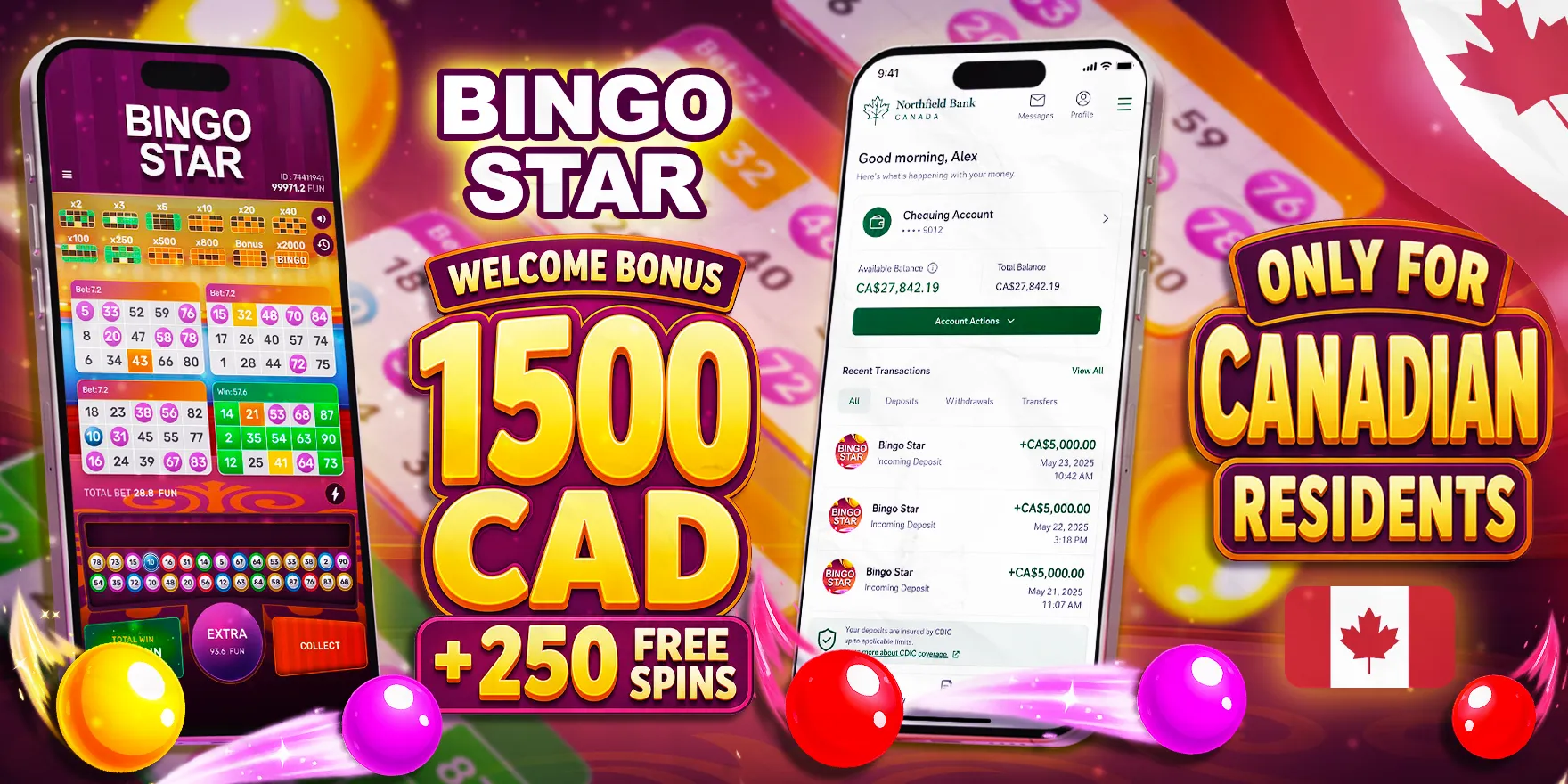 Bingo Star preview 5